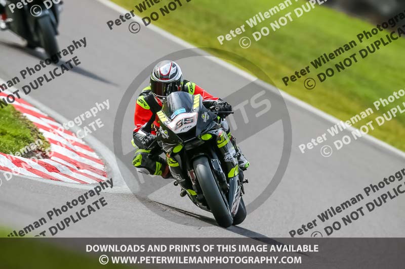 Oulton Park 21st March 2020;PJ Motorsport Photography 2020;anglesey;brands hatch;cadwell park;croft;donington park;enduro digital images;event digital images;eventdigitalimages;mallory;no limits;oulton park;peter wileman photography;racing digital images;silverstone;snetterton;trackday digital images;trackday photos;vmcc banbury run;welsh 2 day enduro